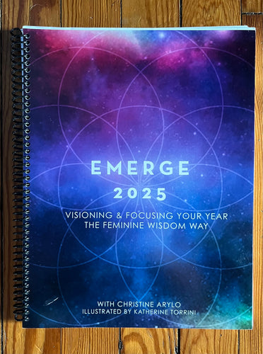 Emerge Visioning Book & Journal - Delivered to Your Doorstep